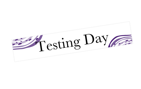 EV25 || Waves Vertical Testing Day Full Day Stickers